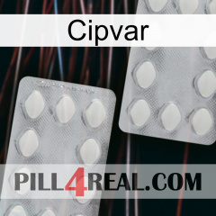 Cipvar 17